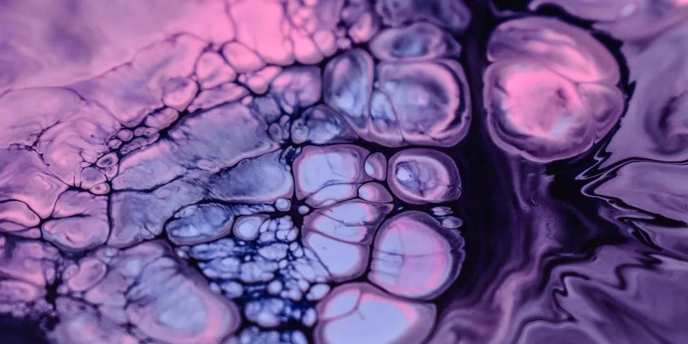 How to Future-Proof Your Crypto Strategy in 2025 and Beyond